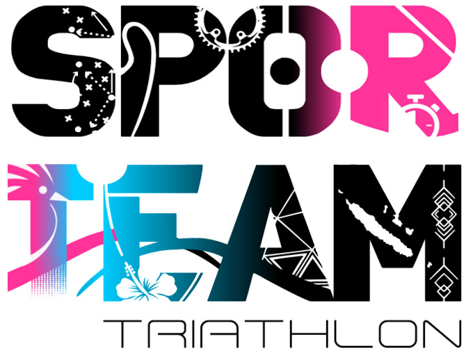 logo sporteam